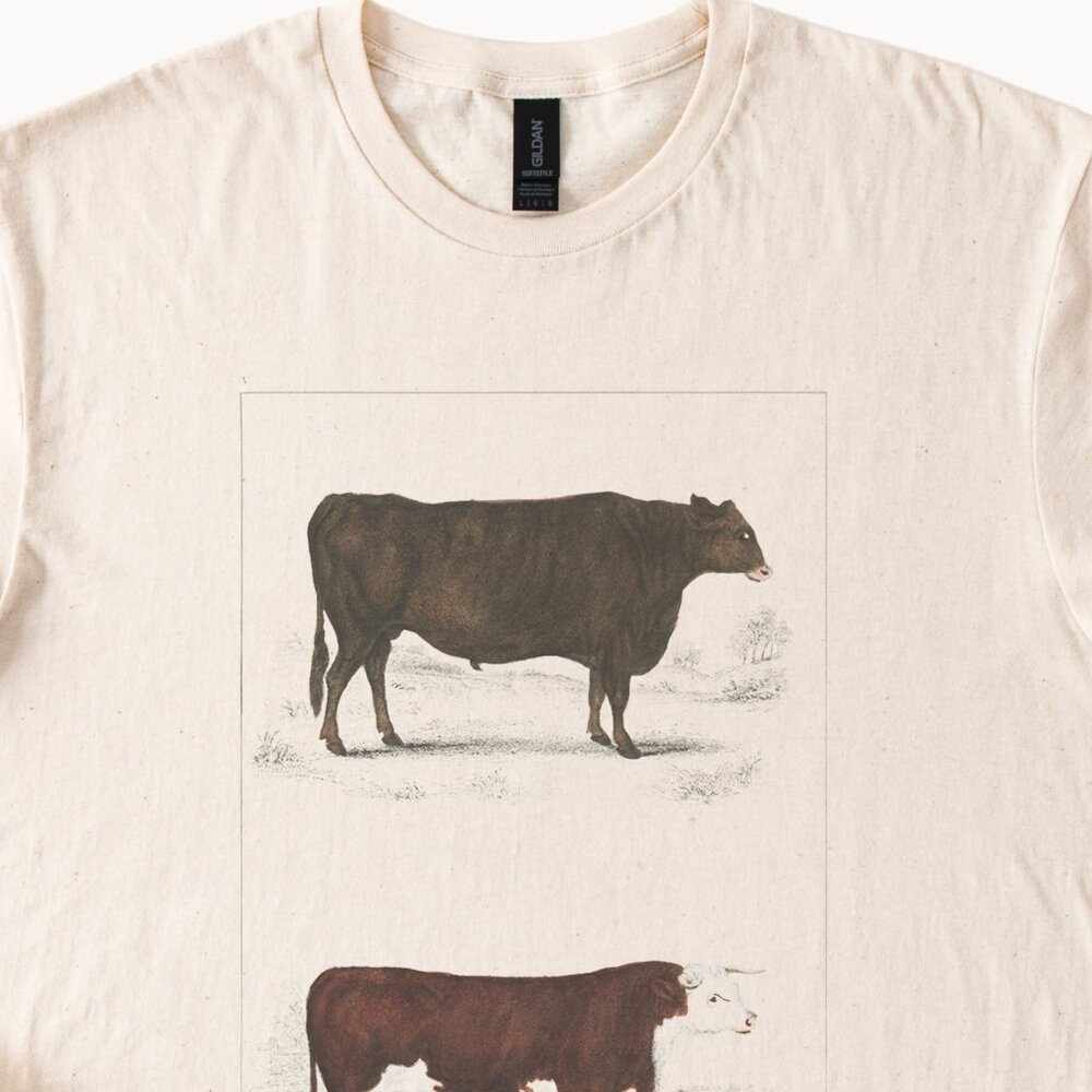 Cow Breeds Graphic Shirt Farm Animal Cattle Art Tee Western Ranch Apparel - Picture 2 of 6